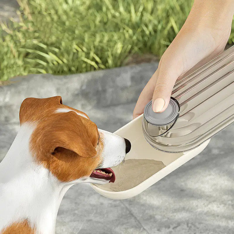 2 in 1 Pet Feeding Bottle